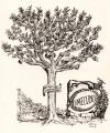 L'albero genealogico dei Fumelli disegnato dallo zio Gastone