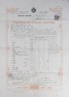 Diploma di Licenza Normale (valido per l'abilitazione all'insegnamento elementare) rilasciato a Michelina Fumelli - Urbino 1912